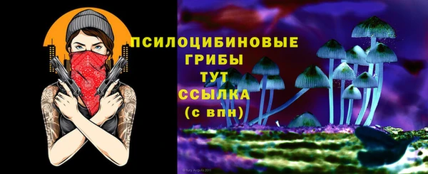 ECSTASY Верея