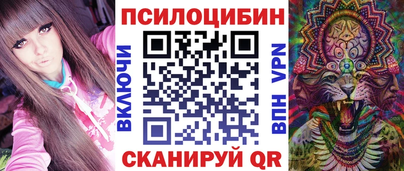 Галлюциногенные грибы MAGIC MUSHROOMS  где найти   Катав-Ивановск 