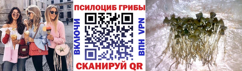 Галлюциногенные грибы GOLDEN TEACHER Катав-Ивановск